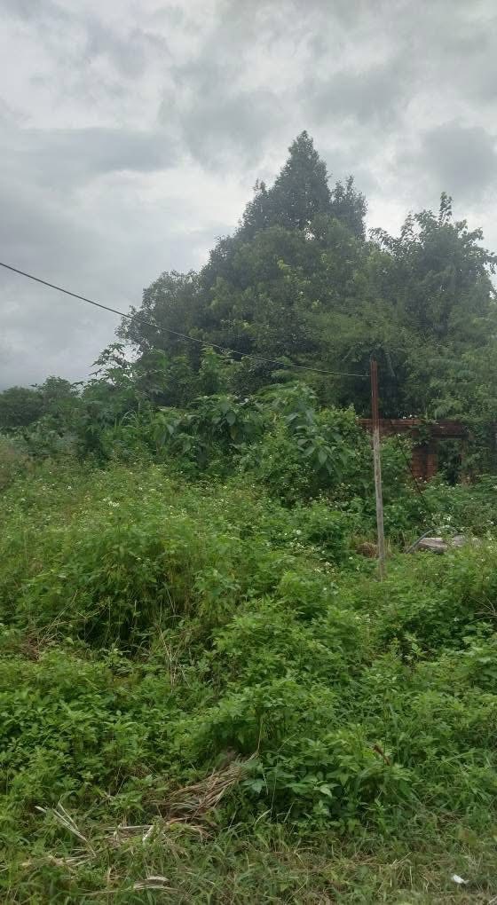 Đất nền trung tâm thị trấn Krông Kmar 220m² giá chỉ 2.42 tỷ - Đầu tư sinh lời ngay!