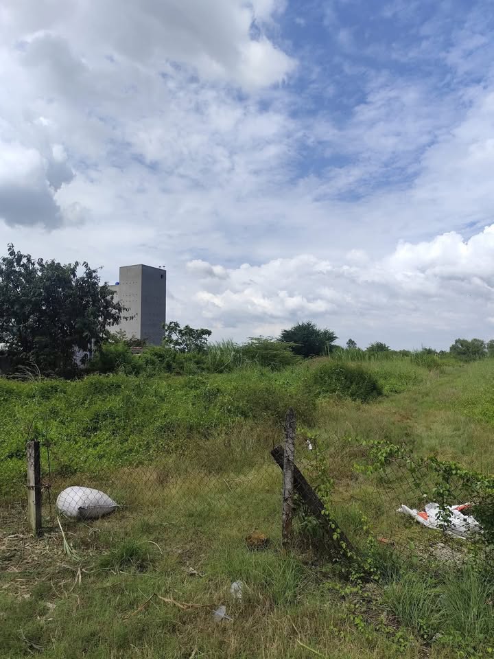 Đất nền 5740m² tại ấp Gò Lức, Tân Đông, Gò Công Đông - Giá chỉ 20 tỷ!