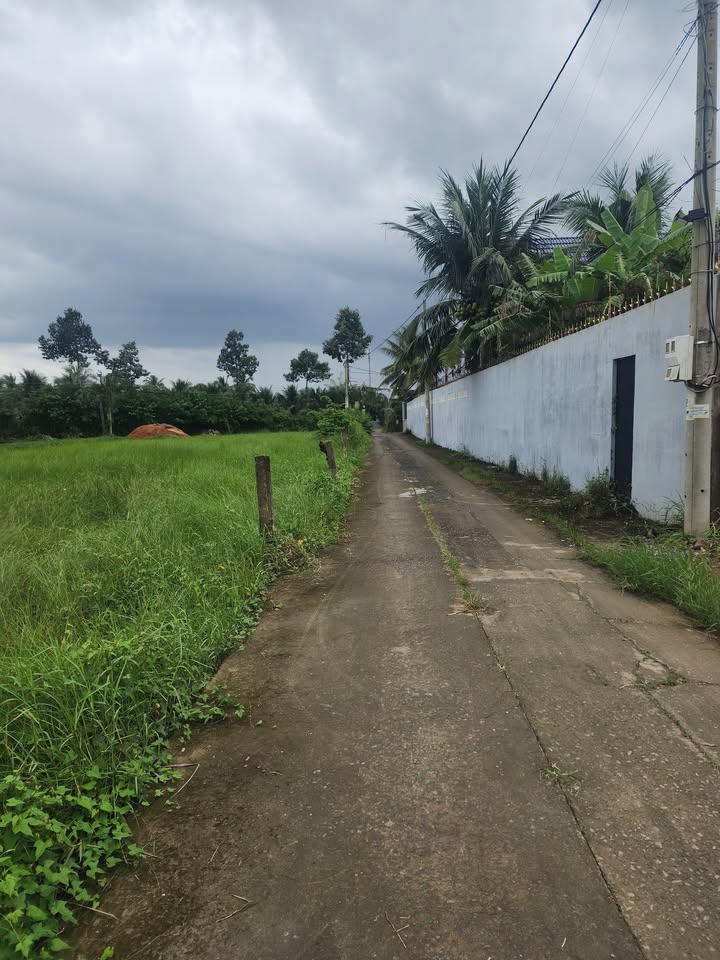 Đất thổ cư 100% xã Mỹ Phong 100m² giá 800 triệu - Cơ hội đầu tư tuyệt vời!