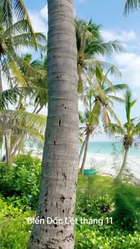 Đất biển Ninh Hải Khánh Hòa 451m² giá 6 tỷ - Vị trí đắc địa chỉ vài bước ra biển!