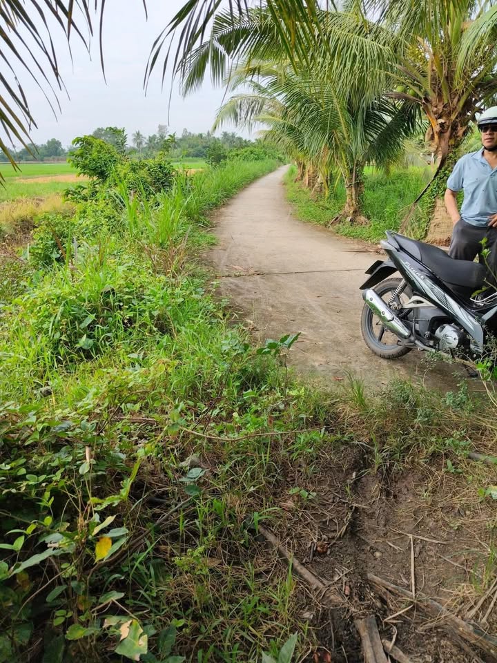 Đất nông nghiệp 12.000m² tại xã Tài Văn, huyện Trần Đề - Giá chỉ 1.45 tỷ VND