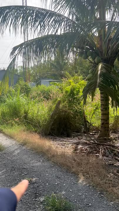 Đất nền Gò Dầu 175m² giá 665 triệu - Sổ hồng riêng, pháp lý rõ ràng!