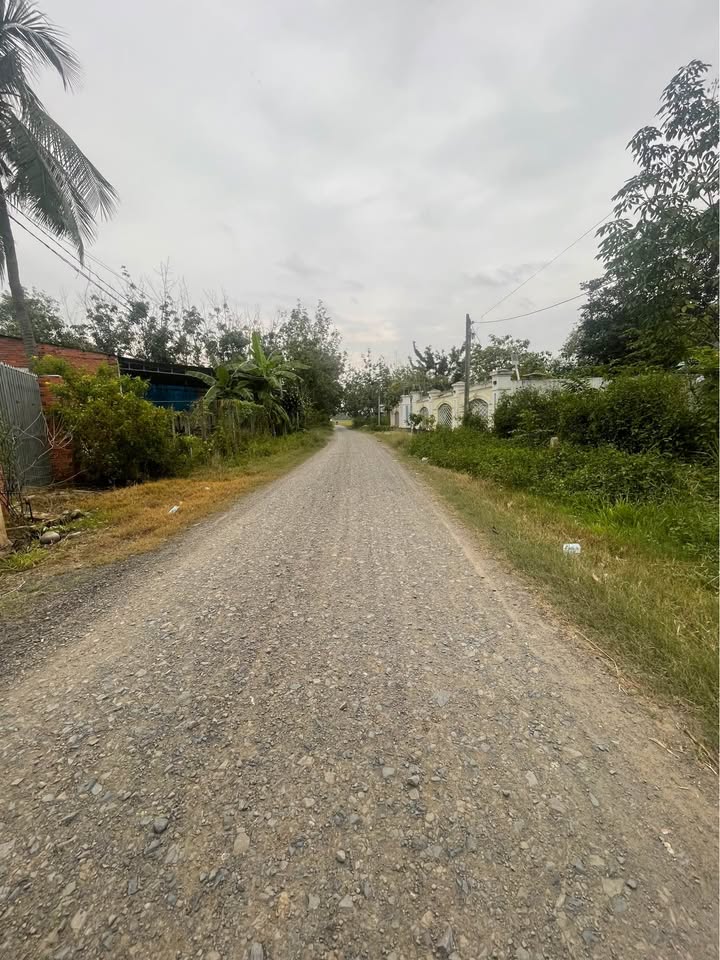 Đất mặt tiền nhựa Khu phố Thanh Hòa, Tây Ninh - Diện tích 90m² - Giá thỏa thuận hấp dẫn!