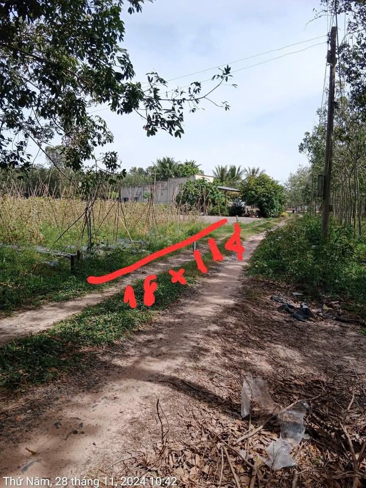 Đất nền Hảo Đước, Châu Thành, Tây Ninh 2268m² - Giảm giá mạnh chỉ 420 triệu!