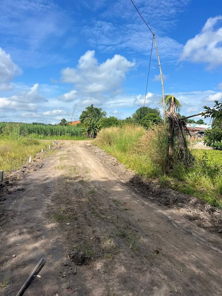 Đất nền Thạnh Bình, Tây Ninh 210m² giá 75 triệu - Đầu tư sinh lời ngay!