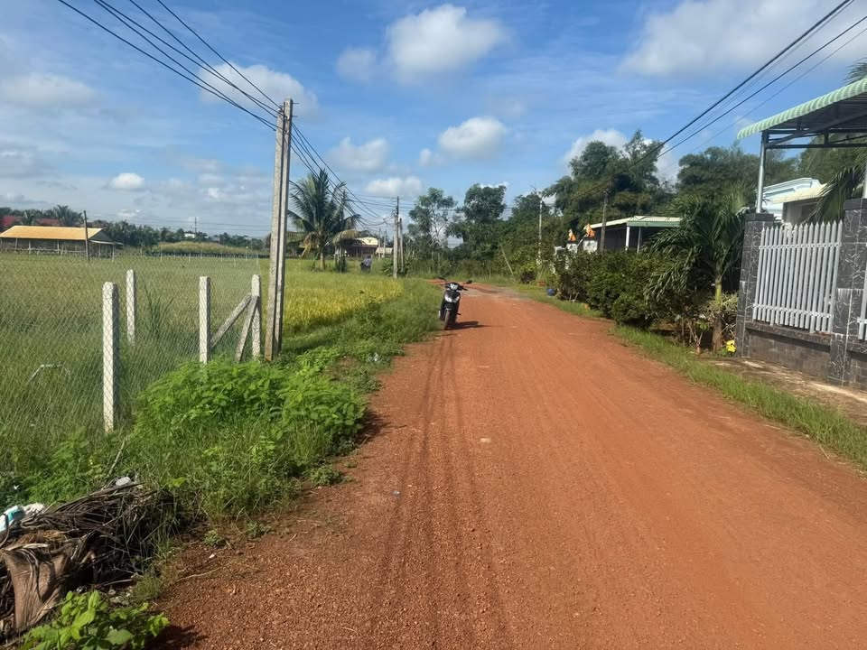 Đất nền Tân Hưng, Tân Châu 315m² giá 350 triệu - Cơ hội vàng cho đầu tư!