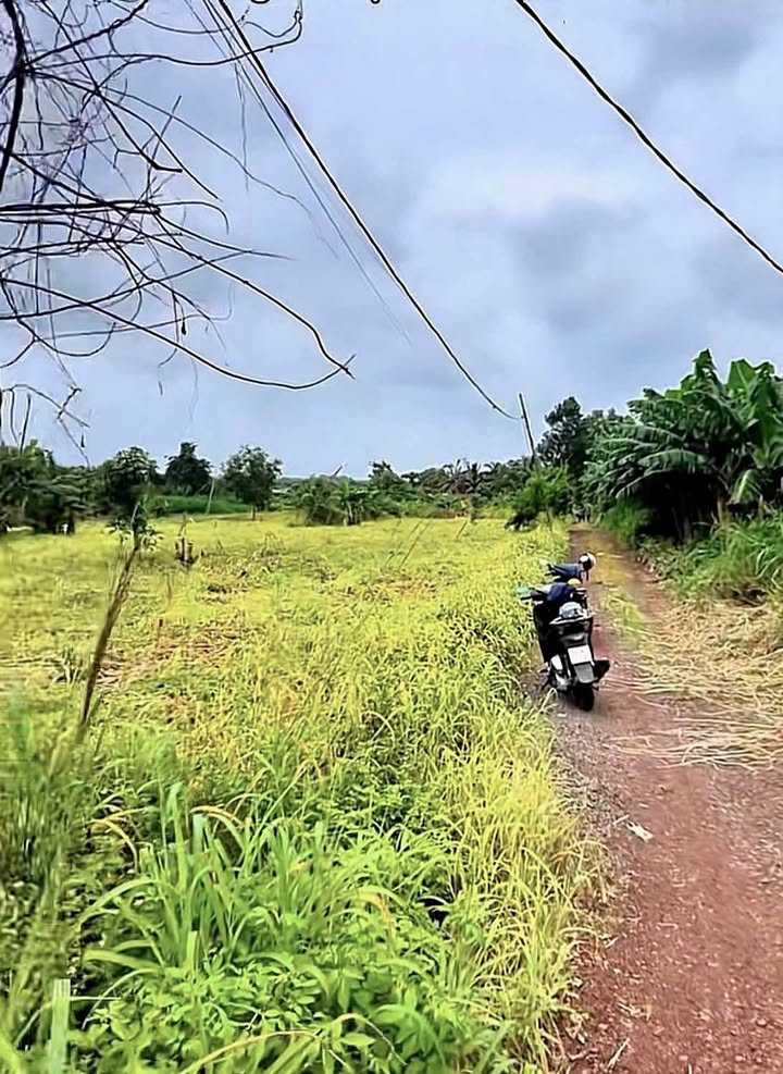 Đất nền 1020m² đường Sông Thao, xã Bàu Hàm, Đồng Nai - Giá chỉ 950 triệu!