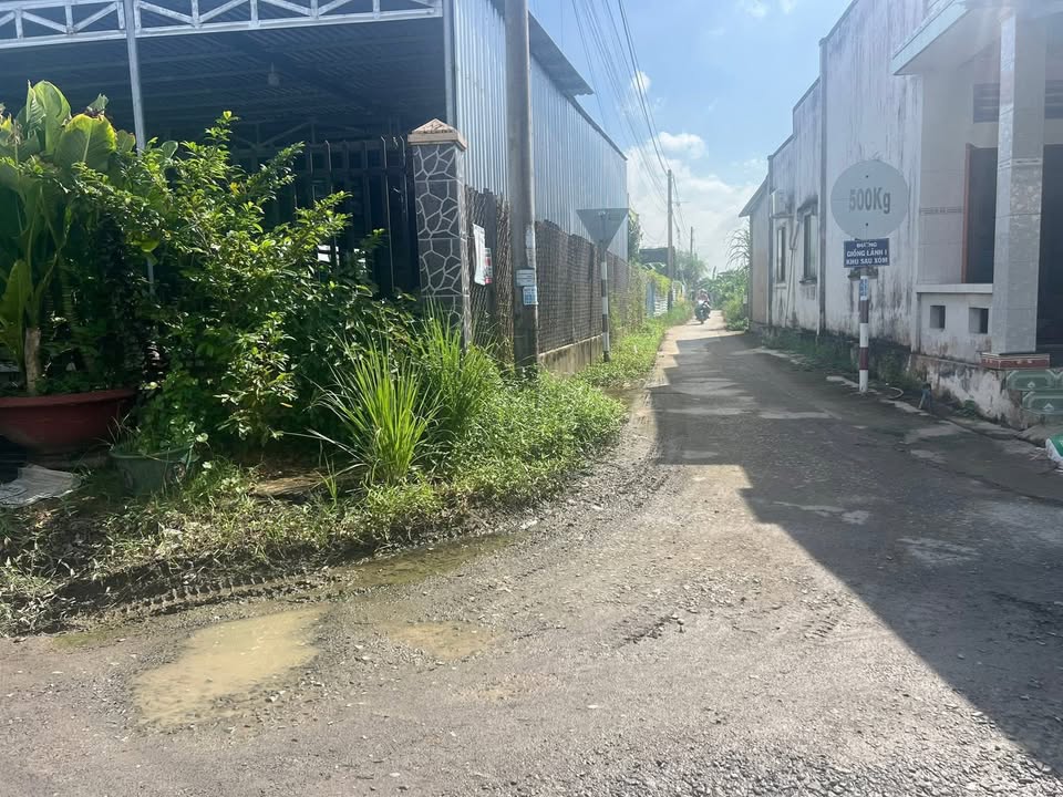 Đất nền Gò Công Đông 118m² giá 290 triệu - Cơ hội đầu tư tuyệt vời!