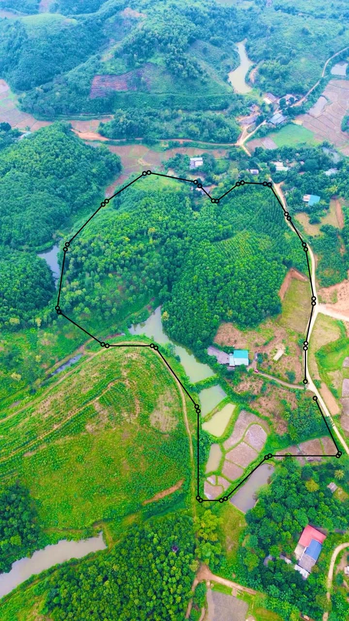 Trang trại Phú Thịnh Yên Bái 18600m² giá 5 tỷ - Dòng tiền ổn định từ mô hình VAC hữu cơ!