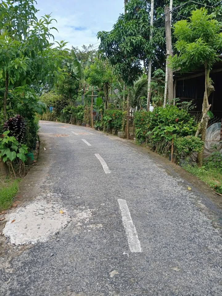 Đất nền mặt tiền đường tại xã Lai Vung, Đồng Tháp - 329m² chỉ 550 triệu