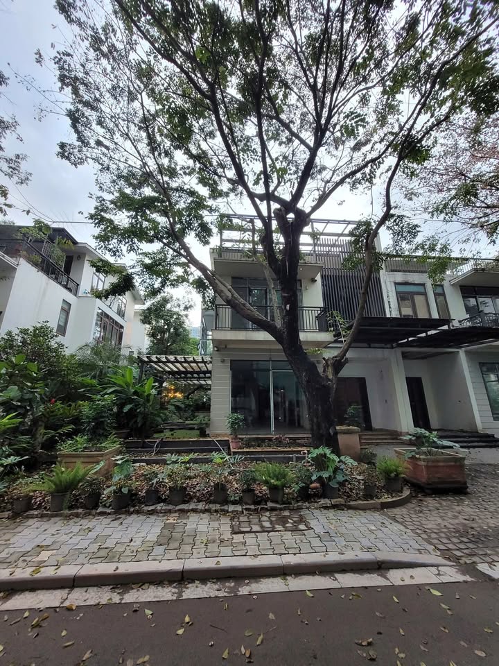 Biệt thự song lập Marina Ecopark 207m² giá 38.5 tỷ - Cơ hội đầu tư hiếm có!