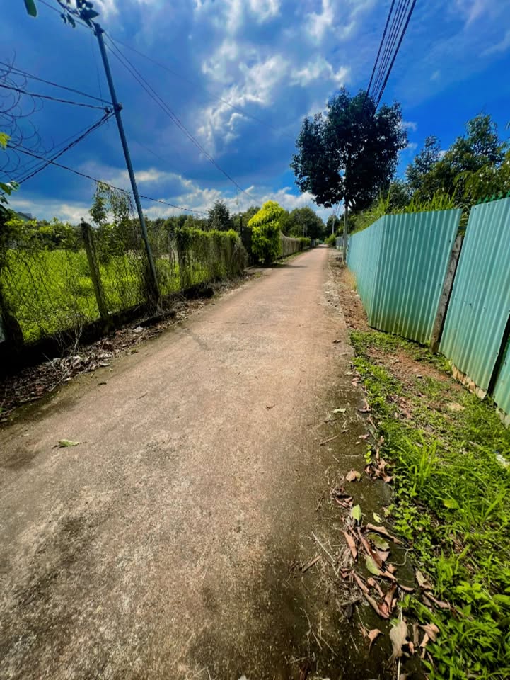 Đất nền xã Xuân Bảo, Cẩm Mỹ, 360m² giá 1.4 tỷ - Đầu tư lý tưởng!