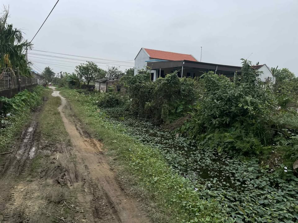 Đất nền Đa Lộc Hậu Lộc 175m² giá 950 triệu - Đầu tư sinh lời ngay!