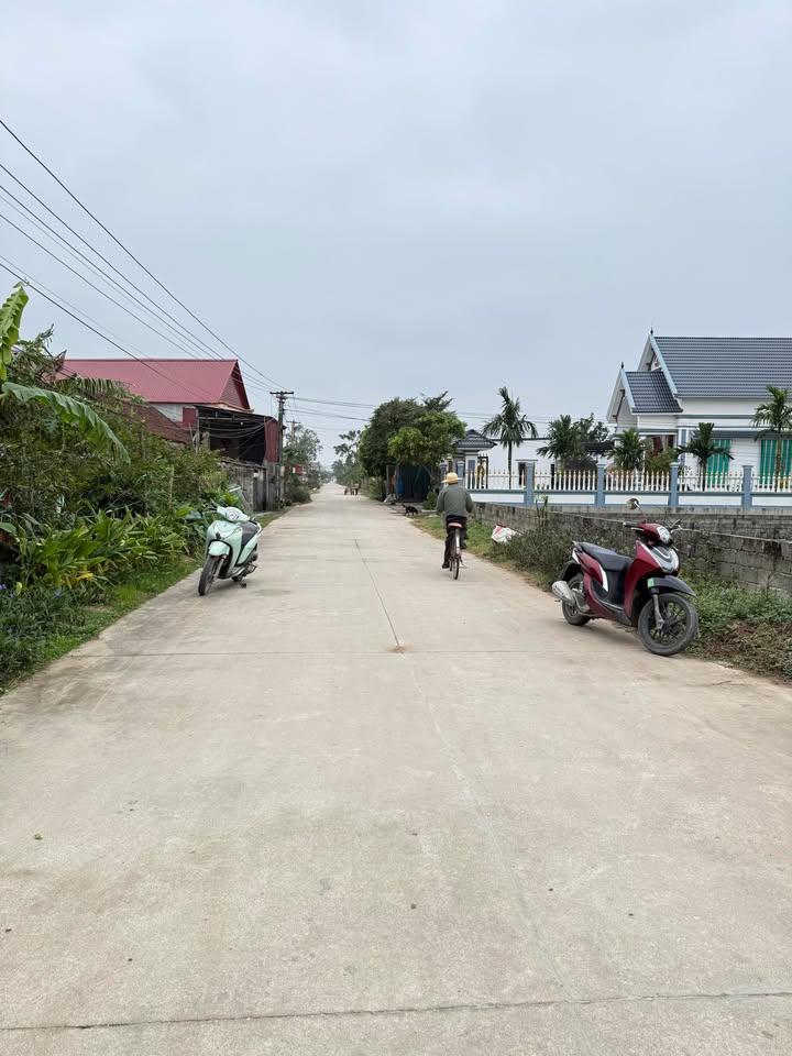 Đất nền Hậu Lộc 263m² giá 50.968 tỷ - Cơ hội đầu tư không thể bỏ lỡ!