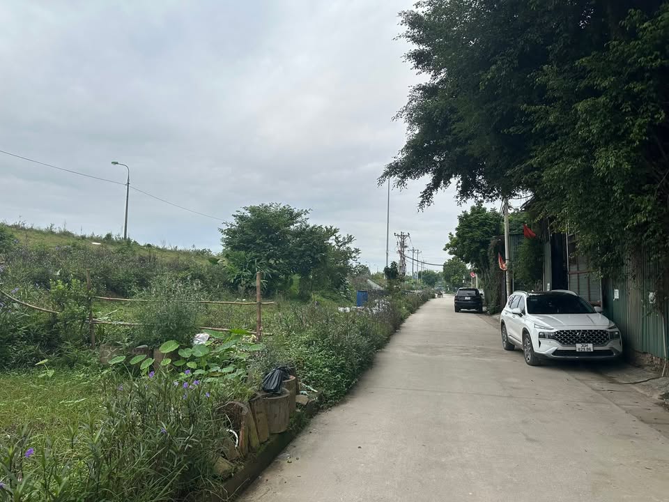 Đất nền Mai Lâm Đông Anh 232m² giá 6.99 tỷ - Đầu tư sinh lời ngay!