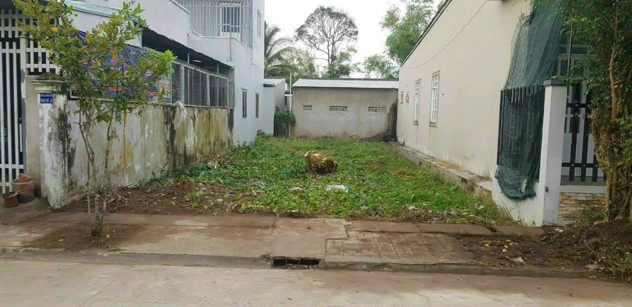 Đất nền Minh Phú Châu Thành 140m² giá 980 triệu - Cơ hội đầu tư hấp dẫn!