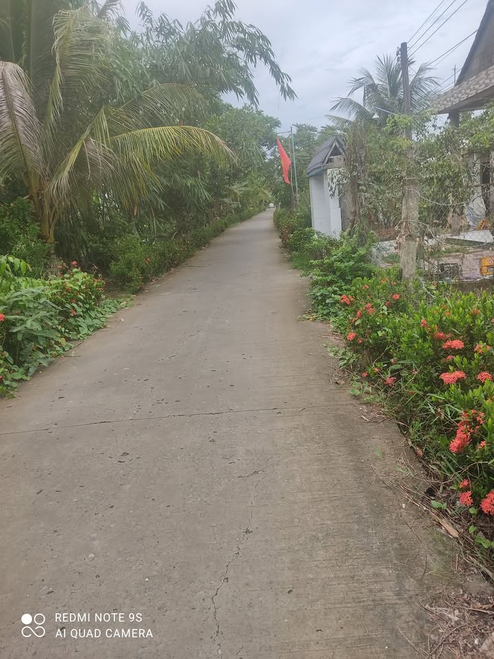 Đất lúa 10.000m² ở Trường Long, Phong Điền - Giá chỉ 190 triệu, cơ hội đầu tư tốt!