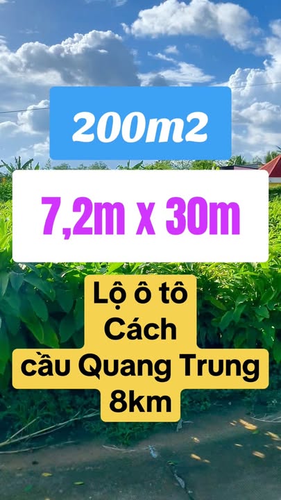 Đất nền Nhơn Nghĩa, Phong Điền 195.6m² giá 1 tỷ - Cơ hội đầu tư tuyệt vời!