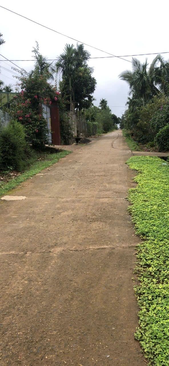 Đất nền chính chủ tại xã Phú Xuân, 940m² giá 940 triệu - Cơ hội đầu tư lý tưởng!