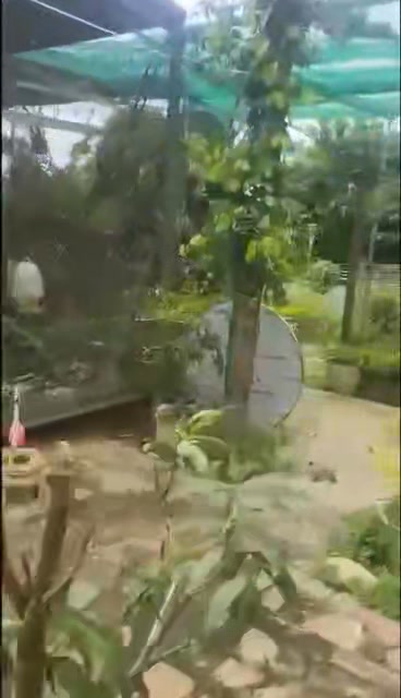 Đất nền Pơng Drang Krông Búk 7200m² giá 3.05 tỷ - Bán nhanh trong 2 ngày!