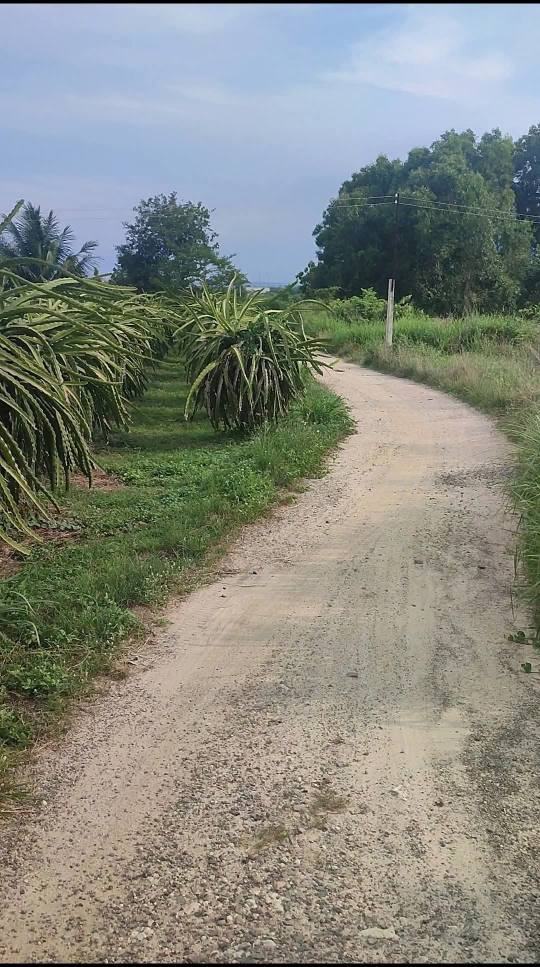 Farm 5 sào tại xã Hàm Liêm, giá 3.2 tỷ - Đường ô tô vào tận nơi!