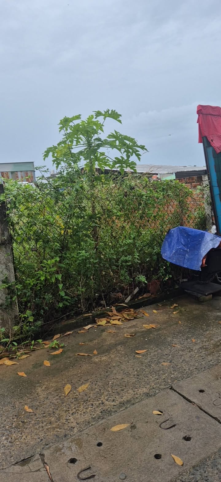 Đất nền Phú Thủy Phan Thiết 98m² giá 1.65 tỷ - Vị trí đắc địa gần trung tâm!