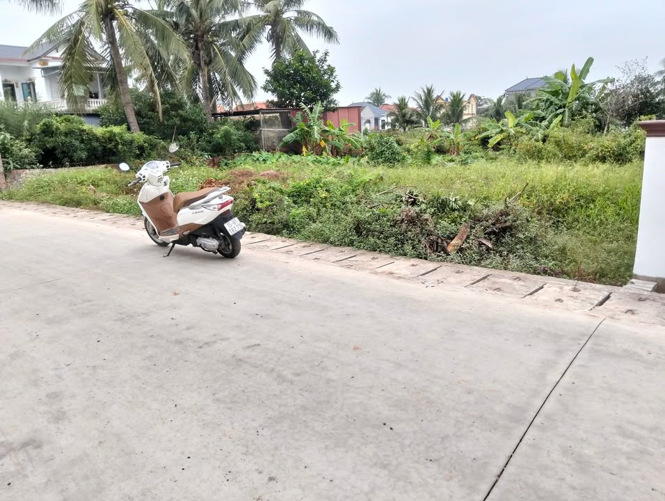 Đất nền Trấn Dương Vĩnh Bảo 130m² giá 1.5 tỷ - Vị trí đắc địa, giao thông thuận lợi!