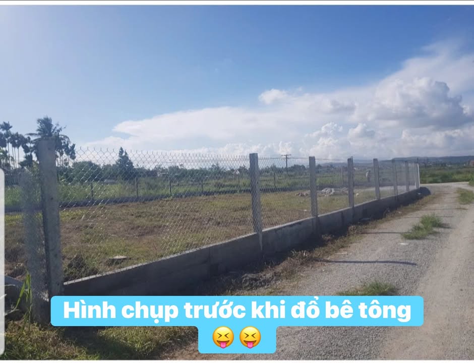 Đất 2 mặt tiền đường bê tông Tịnh Thọ 530m² giá 1.25 tỷ - Sổ hồng chính chủ!