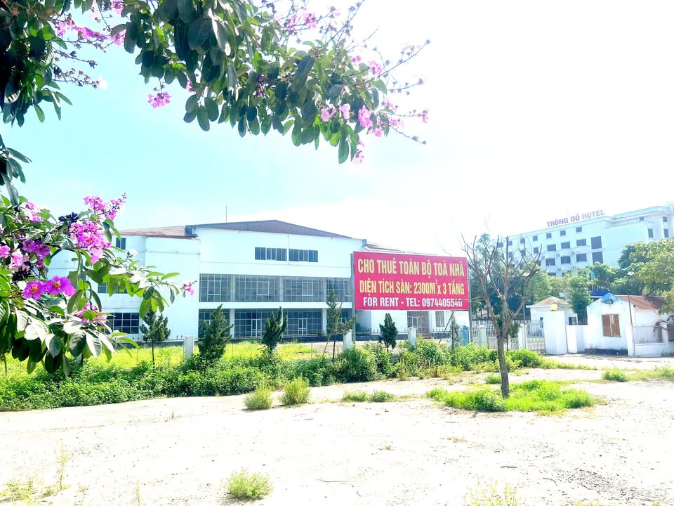 Cho thuê tòa nhà 3 tầng + khu tổng hợp 15.000m² tại Nghệ An - Giao thông thuận tiện!