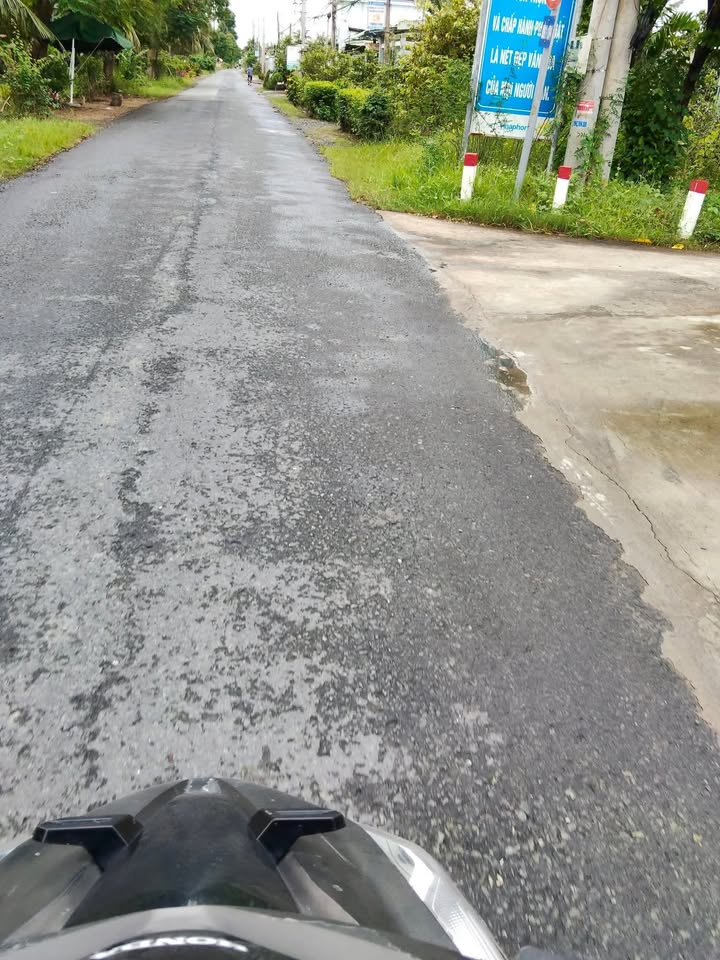 Đất cây lâu năm Gò Công Tây 1260m² giá 750 triệu - Đường bê tông xe hơi 4m