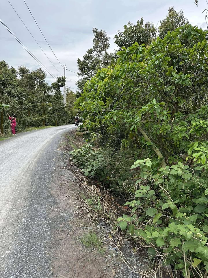 Đất 2 mặt tiền đường HL70 Ngũ Hiệp 3600m² giá 3.5 tỷ - Cơ hội đầu tư hấp dẫn!