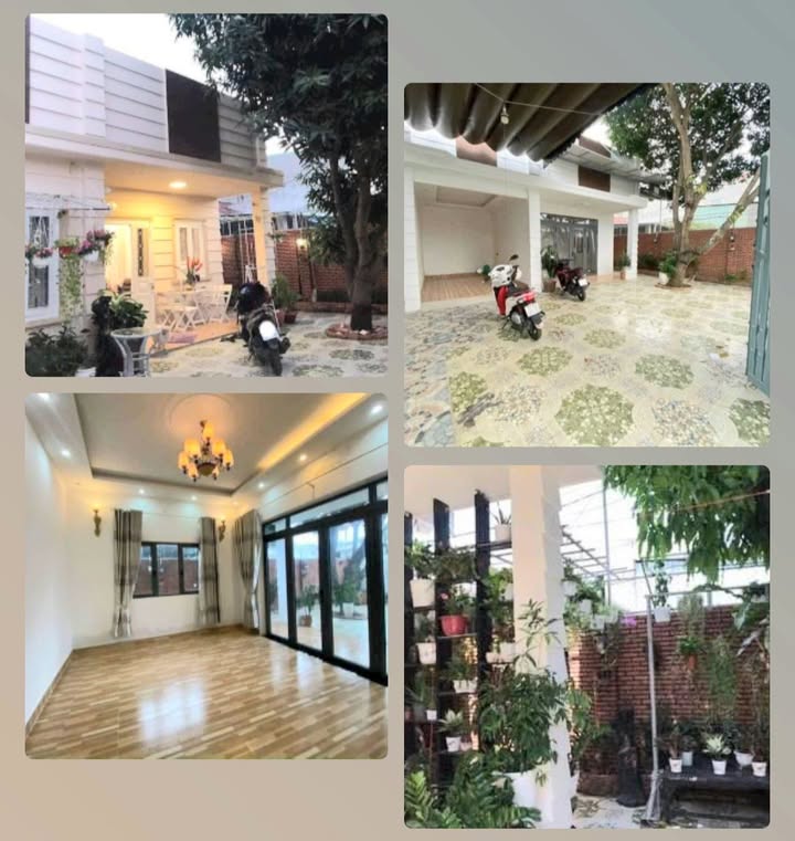 Nhà mặt tiền đường Rạch Dừa, Vũng Tàu 230m² giá 6.486 tỷ - Sân vườn thoáng mát!