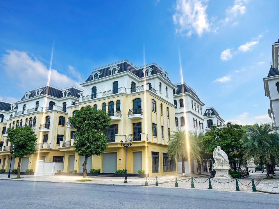 Shophouse KĐ-91 & KĐ-93 Long Hưng 153m² giá 24.708 tỷ - Điểm đầu tư lý tưởng!