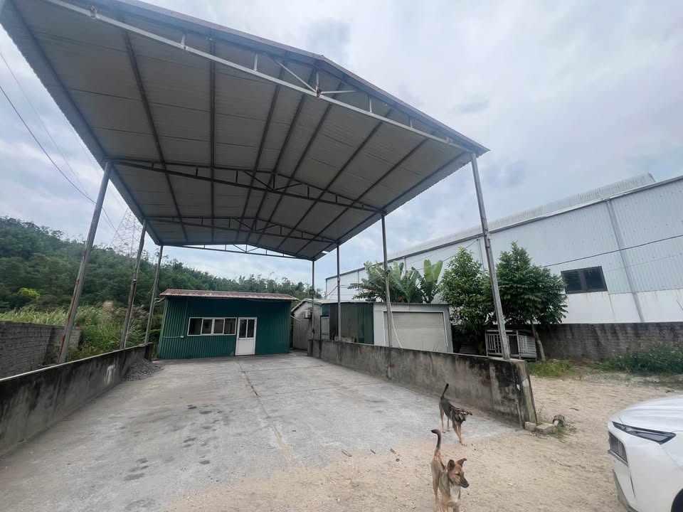 Đất mặt đường Quốc lộ 18, phường Cửa Ông 875m² giá chỉ 5.25 tỷ - Cơ hội đầu tư tuyệt vời!