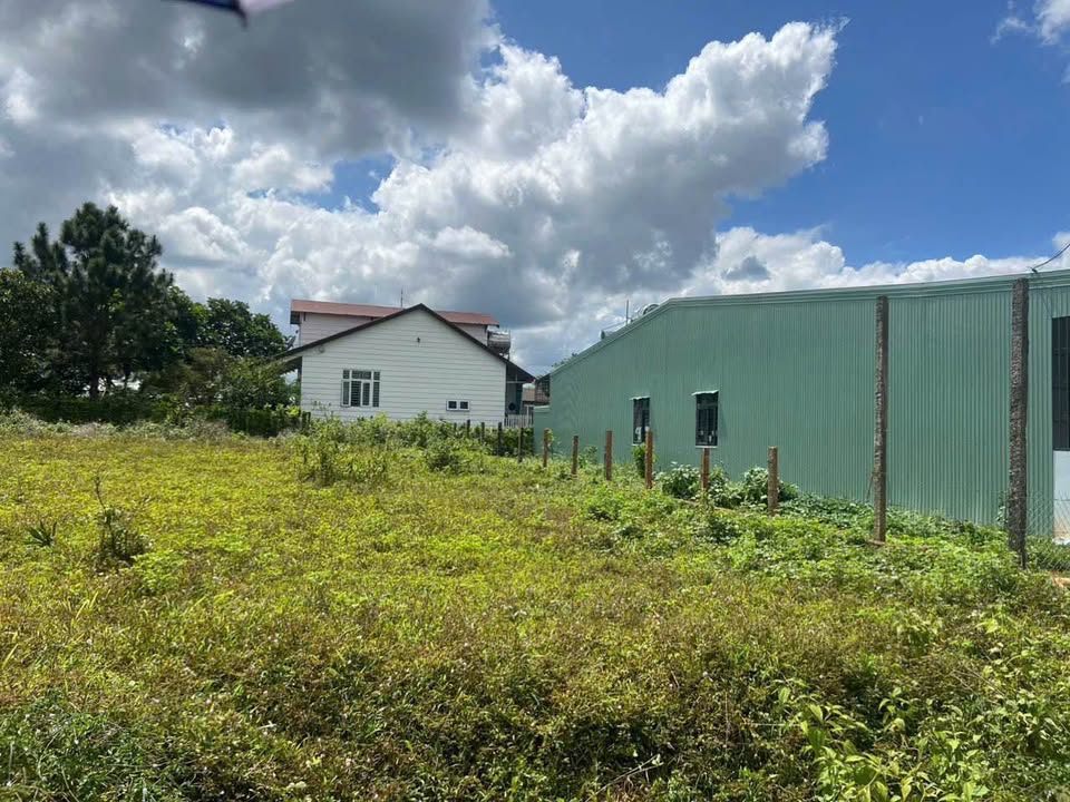 Đất nền hẻm 100 Trường Sa - 310m² giá chỉ 1 tỷ - Đầu tư sinh lời tại Pleiku!