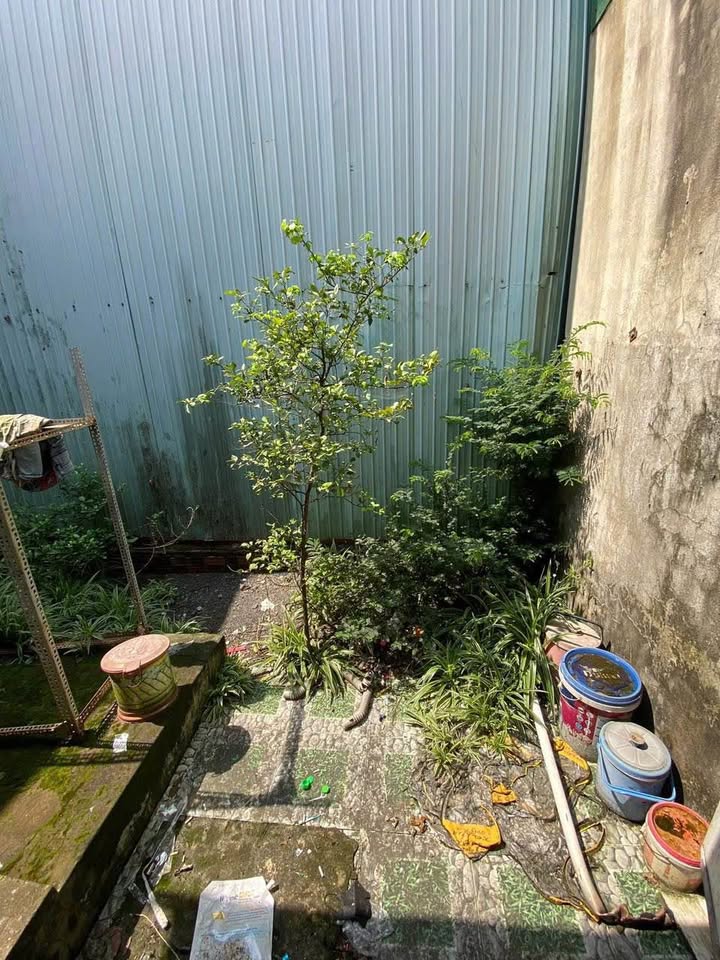 Nhà mặt tiền đường Cầu 71, phường Hố Nai 200m² giá 4.7 tỷ - Thiết kế thông thoáng, kinh doanh tốt!