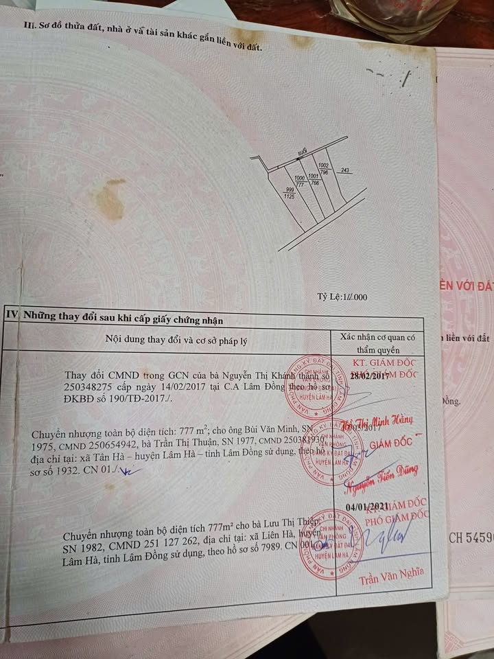 Đất nền mặt đường Tân Hà, 840m² giá 210 triệu - Đầu tư sinh lời ngay!