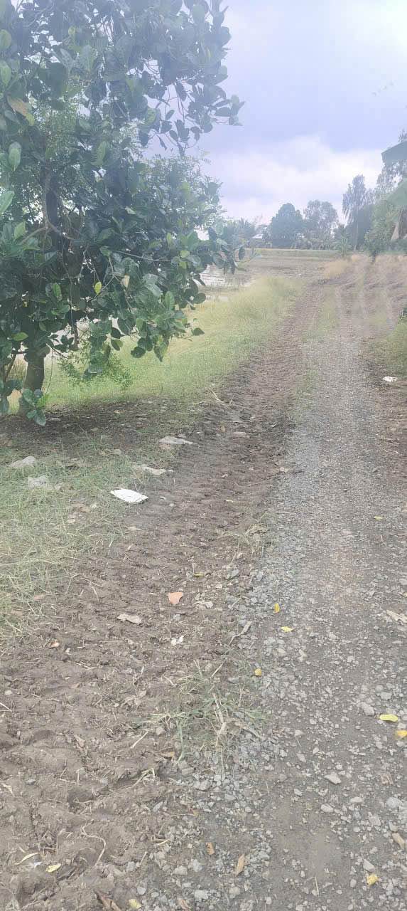 Đất ruộng 20 công tại kênh Đồng Choi, xã Định Mỹ - Giá chỉ 3 tỷ!