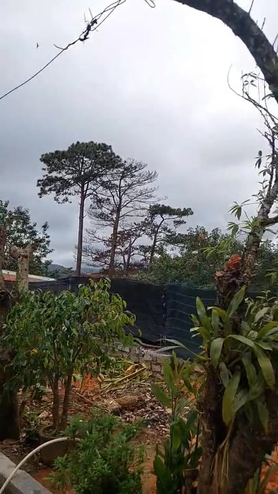 Nhà nguyên căn cho thuê tại đường Khe Sanh, Đà Lạt 2PN - View đẹp, giá chỉ 8 triệu/tháng!