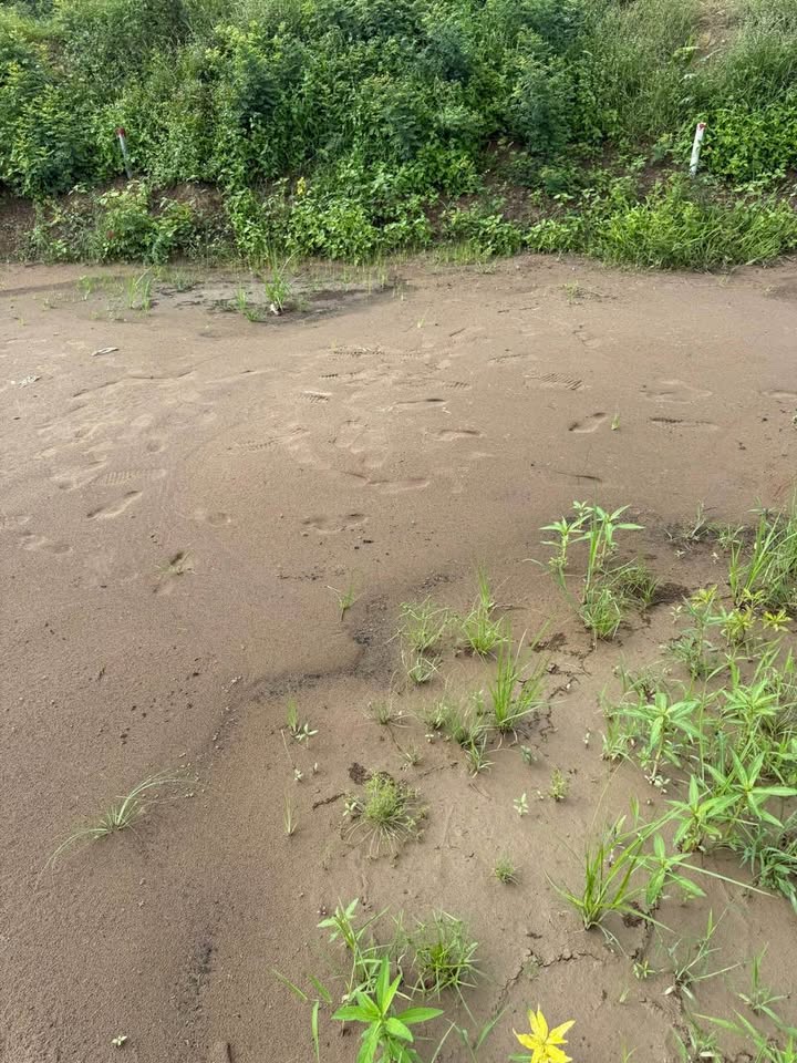 Đất nền Bình Hàng Trung, Cao Lãnh 173m² giá 270 triệu - Sổ đỏ công chứng trong ngày!