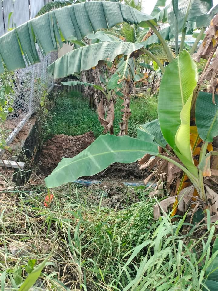 Đất thổ cư 100m² tại xã Mỹ Hội, giá 1.95 tỷ - Sổ đỏ chính chủ, đầu tư sinh lời!