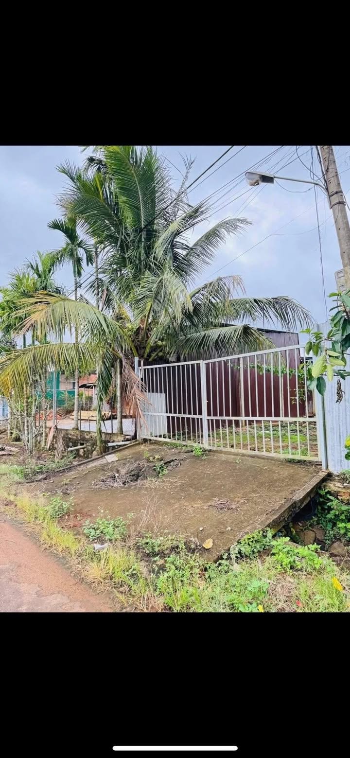 Đất nền mặt tiền đường nhựa Krông Năng 480m² giá 1.38 tỷ - Pháp lý rõ ràng!