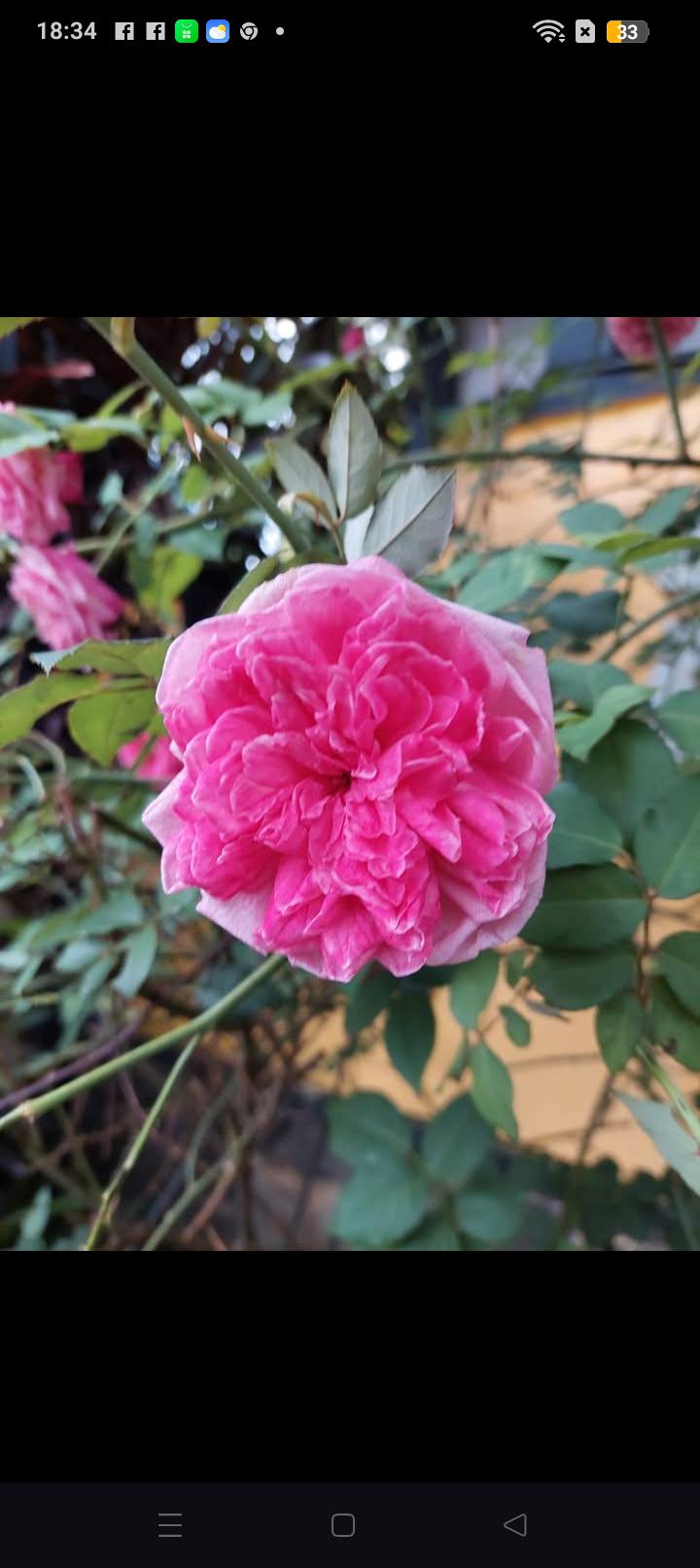 Đất 2 mặt tiền Âu Cơ và Huỳnh Tấn Phát, 630m², giá 2.5 tỷ - Cơ hội đầu tư sinh lời!