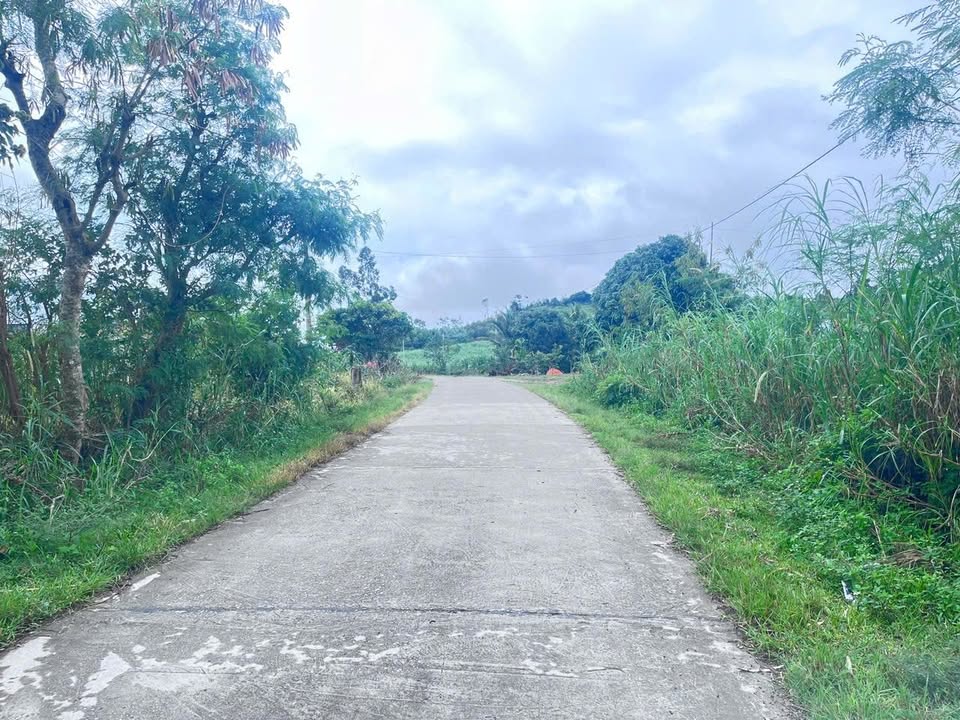 Đất nền mặt tiền 1,8ha tại xã Ea Knốp - Giá chỉ 4 tỷ VND