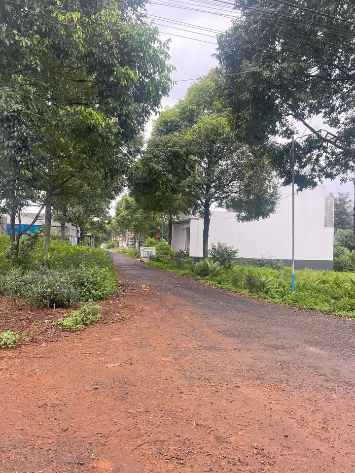 Đất Lê Hồng Phong, Ea Kar 300m² giá 2 tỷ - Lô góc 2 mặt tiền!