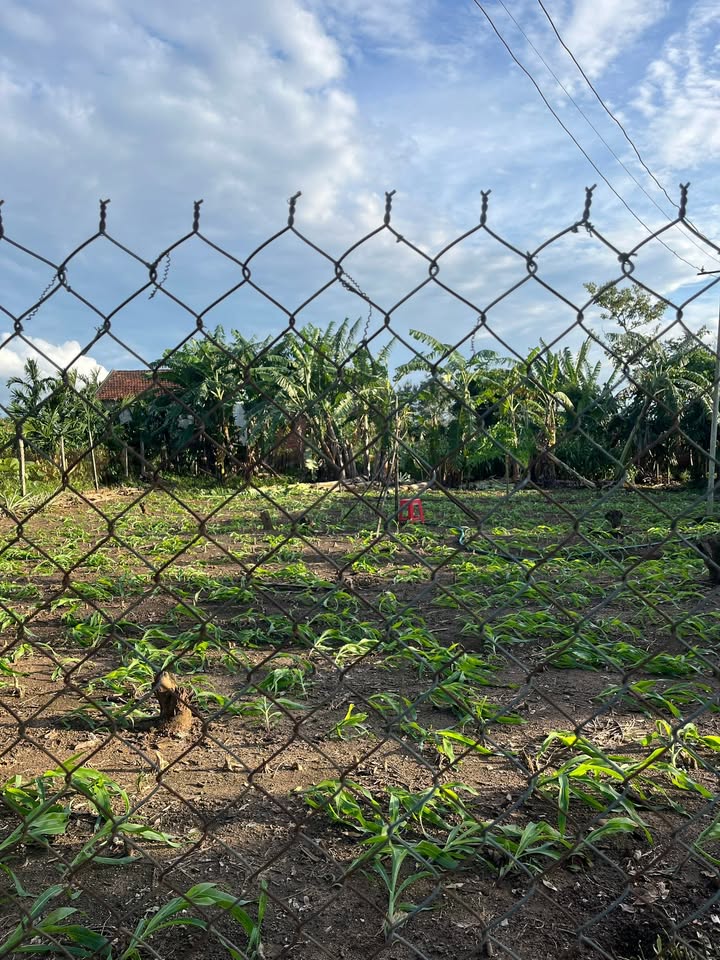 Đất nền Cư Ni, Ea Kar 259m² giá chỉ 400 triệu - Đầu tư sinh lời ngay!