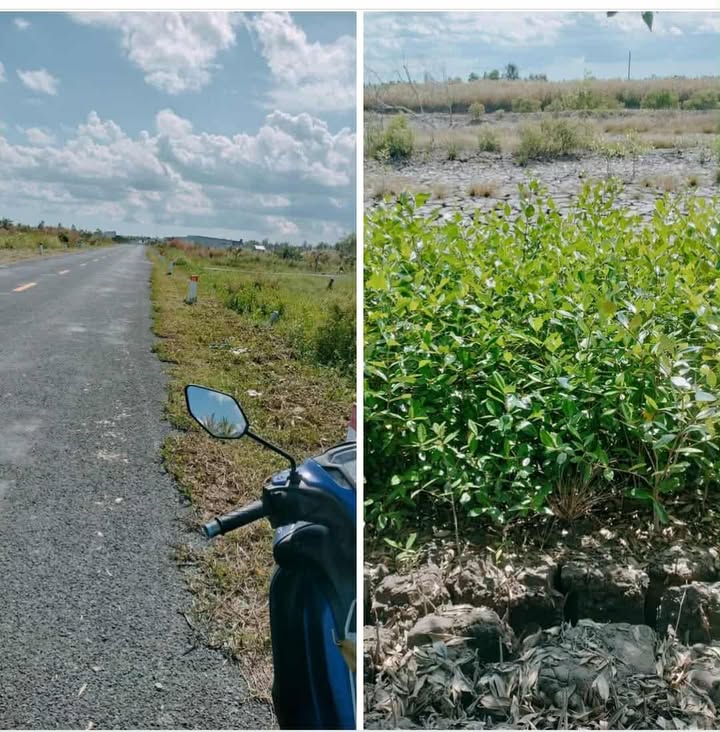 Đất nền chính chủ Hưng Mỹ Cà Mau 340m² giá chỉ 350 triệu - Sổ hồng riêng sẵn!