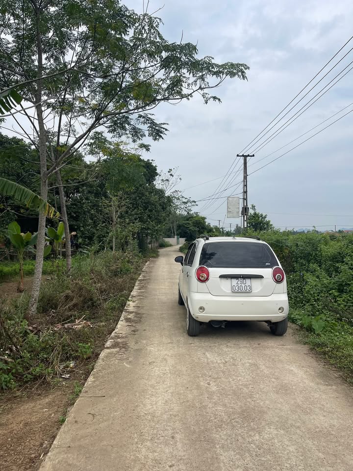 Đất thổ cư 150m² tại xóm đồi 2, xã Yên Trị, 1.203m² - Giá đầu tư hấp dẫn!