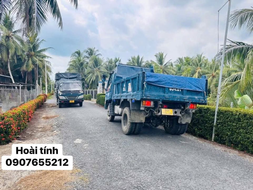 Đất thổ cư Bình Ninh Tam Bình 143m² giá 290 triệu - Mặt tiền đường nhựa rộng rãi!