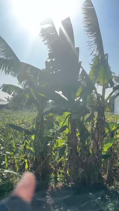 Đất nền xã Khánh Công, huyện Yên Mô 220m² - Sẵn sàng đầu tư ngay!